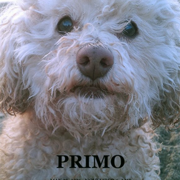 Meet your Posher, Allison - Picture 4 of 4